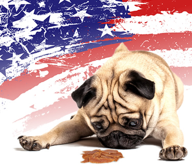 American made jerky treats tied to illness in dogs