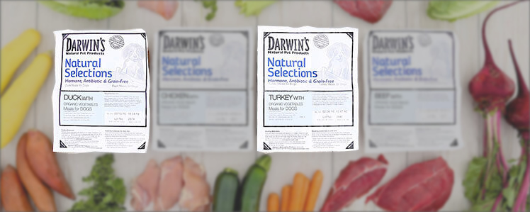 Darwins dog food recall 2017