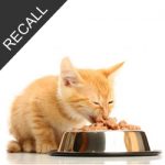 Cat Food Recall