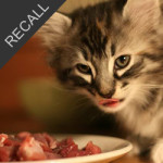 Northwest Farm Food Cooperative Cat Food Recall