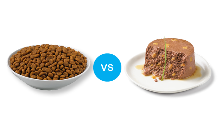 choose the right cat food